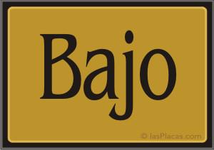 ir a la tienda