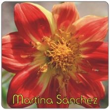 PLACAS para POSAVASOS - Grabinco.com