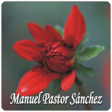 PLACAS para POSAVASOS - Grabinco.com