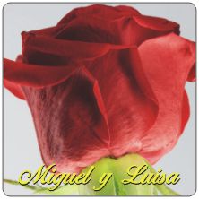 PLACAS para POSAVASOS - Grabinco.com
