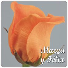 PLACAS para POSAVASOS - Grabinco.com