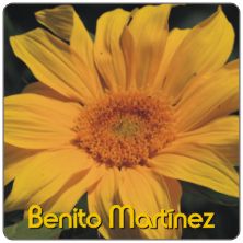 PLACAS para POSAVASOS - Grabinco.com