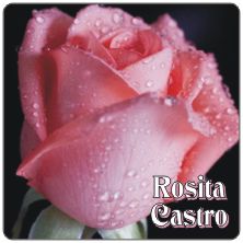 PLACAS para POSAVASOS - Grabinco.com
