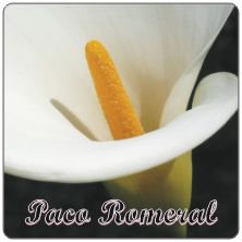 PLACAS para POSAVASOS - Grabinco.com