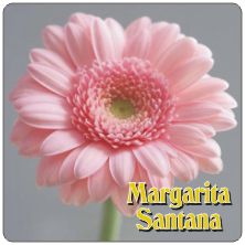 PLACAS para POSAVASOS - Grabinco.com