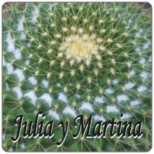 PLACAS para POSAVASOS - Grabinco.com
