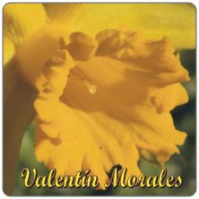 PLACAS para POSAVASOS - Grabinco.com