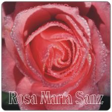 PLACAS para POSAVASOS - Grabinco.com