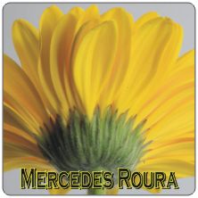PLACAS para POSAVASOS - Grabinco.com