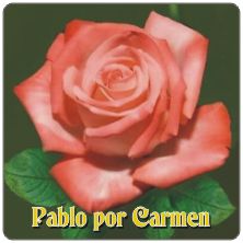 PLACAS para POSAVASOS - Grabinco.com
