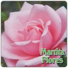 PLACAS para POSAVASOS - Grabinco.com