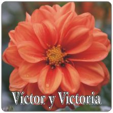 PLACAS para POSAVASOS - Grabinco.com