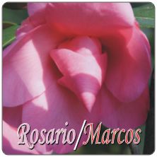 PLACAS para POSAVASOS - Grabinco.com