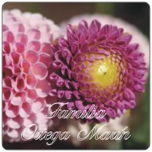 PLACAS para POSAVASOS - Grabinco.com