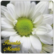 PLACAS para POSAVASOS - Grabinco.com