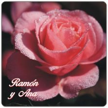PLACAS para POSAVASOS - Grabinco.com