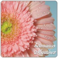PLACAS para POSAVASOS - Grabinco.com
