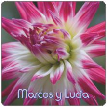 PLACAS para POSAVASOS - Grabinco.com