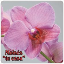 PLACAS para POSAVASOS - Grabinco.com
