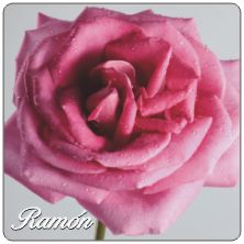 PLACAS para POSAVASOS - Grabinco.com