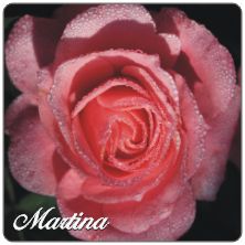 PLACAS para POSAVASOS - Grabinco.com