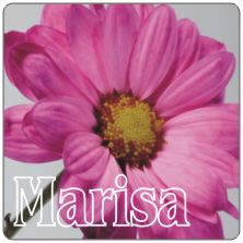 PLACAS para POSAVASOS - Grabinco.com
