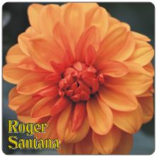 PLACAS para POSAVASOS - Grabinco.com