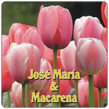 PLACAS para POSAVASOS - Grabinco.com