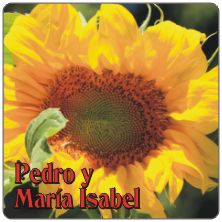 PLACAS para POSAVASOS - Grabinco.com