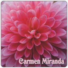 PLACAS para POSAVASOS - Grabinco.com