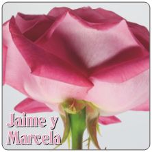 PLACAS para POSAVASOS - Grabinco.com