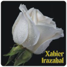 PLACAS para POSAVASOS - Grabinco.com