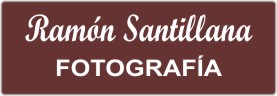 PLACA PARA PROFESIONALES - Grabinco.com