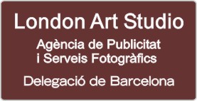 PLACA PARA PROFESIONALES - Grabinco.com
