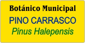 PLACA PARA PROFESIONALES - Grabinco.com