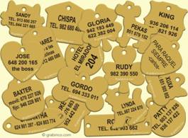 PLACAS GRABADAS PARA MASCOTAS Grabinco.com