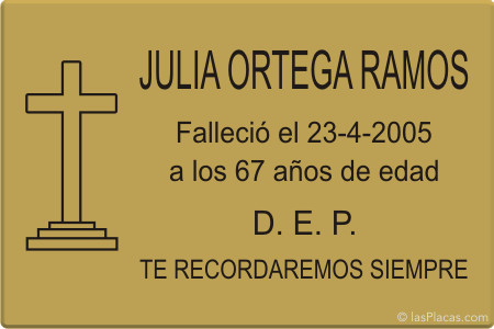 ir a la tienda