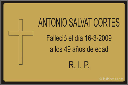 ir a la tienda