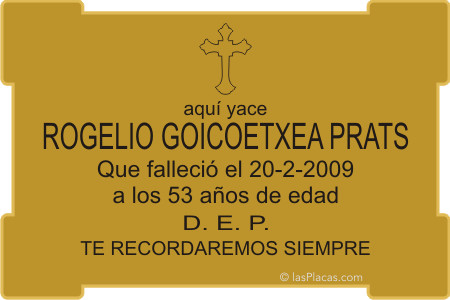 ir a la tienda