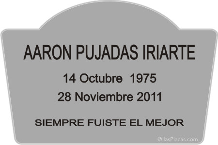 ir a la tienda