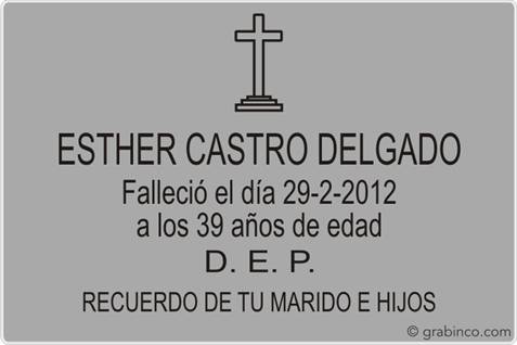 ir a la tienda