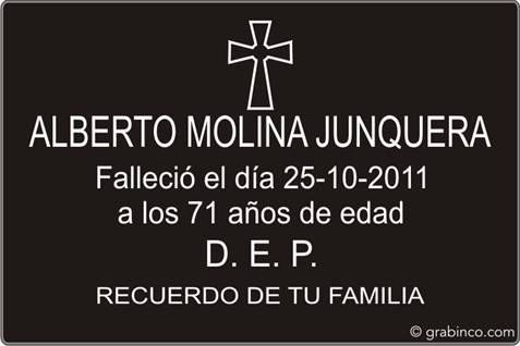 ir a la tienda