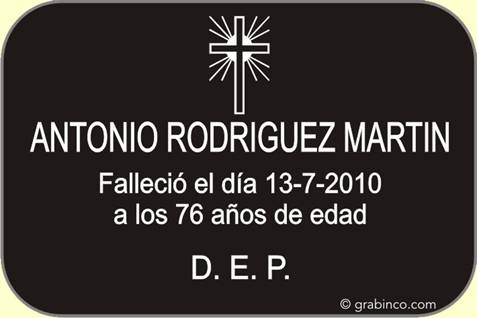 ir a la tienda