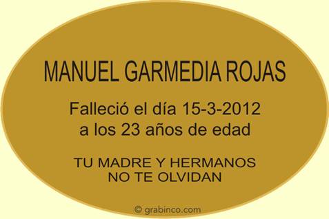 ir a la tienda
