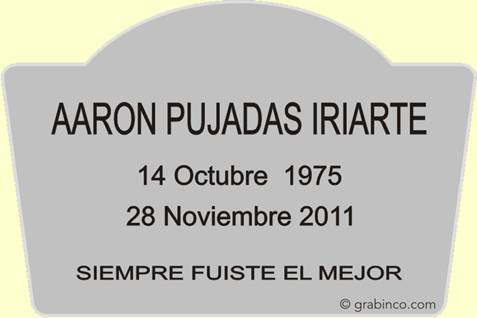 ir a la tienda