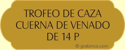 ir a la tienda