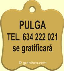 ir a la tienda