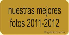 PLACA GRABADA CON NUMERACIONES Y TEXTO NU012 Grabinco.com