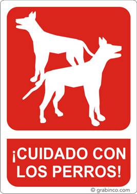 ir a la tienda