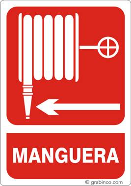 ir a la tienda